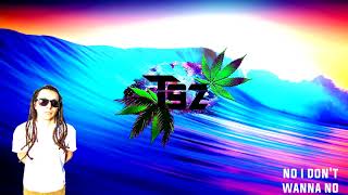 SOJA - I Don't Wanna Wait Lyric