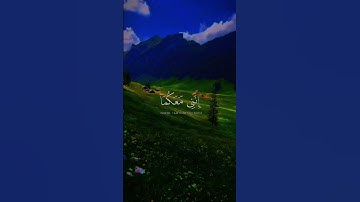 قال لا تخافا أنني معكما أسمع وأرى l تلاوى جميلة من القارئ محمد ديبيروف l قرآن كريم