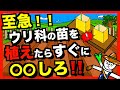 【害虫&低温対策】ウリ科野菜(キュウリ、カボチャ、スイカ)を植えたら《あんどん》をするべし!!ウリハムシ対策&低温対策で生育促進!【アニメでわかる家庭菜園解説】