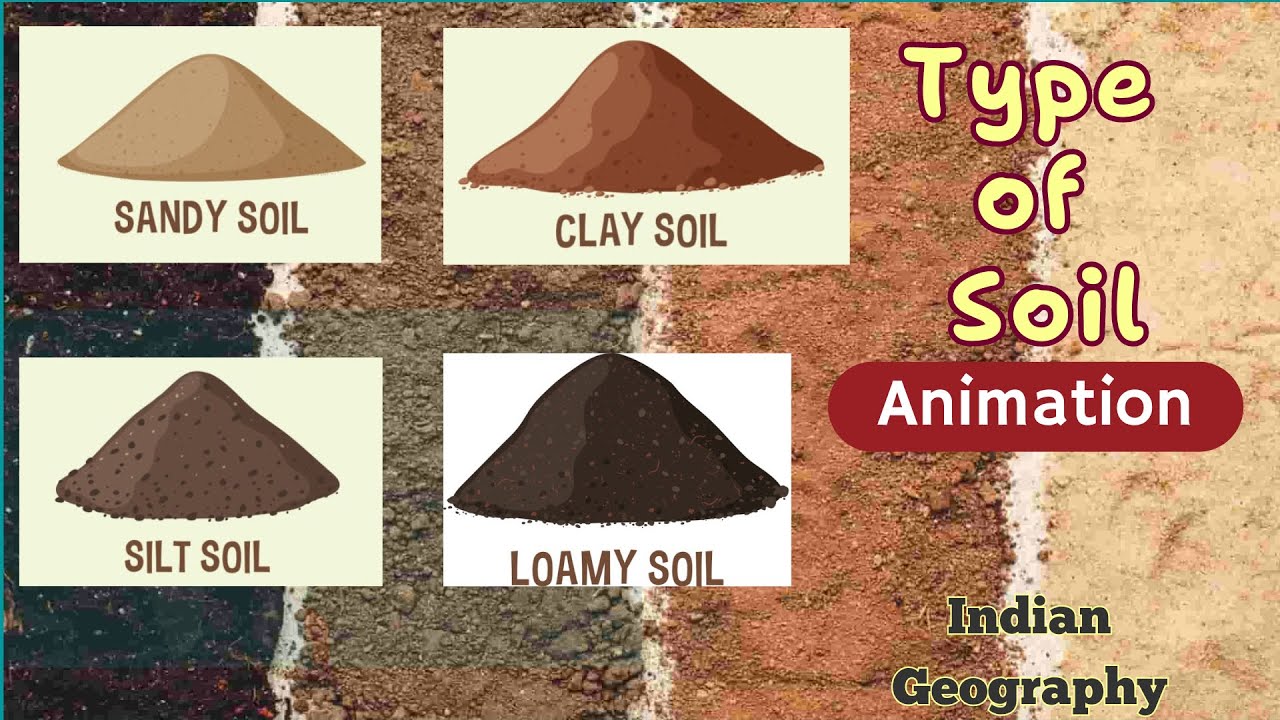 Types of soil - based on particle size | Indian Geography Animation