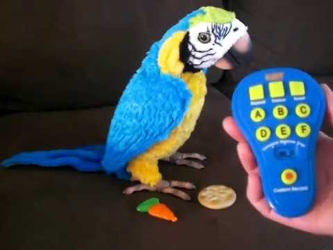 FurReal Parrot Remote Control: Easy 
