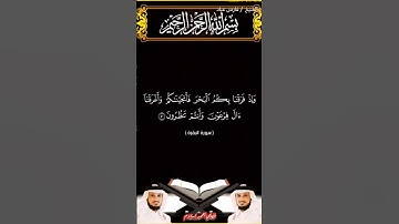 سورة البقرة من الآية 49 إلى الآية 51 بصوت الشيخ فارس عباد برواية حفص #القرآن_الكريم #اكسبلور #viral