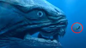 تحميل 深海魚 ヒトガタ 実在 تحميل 深海魚 ヒトガタ 実在