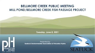 Bellmore Creek Public Meeting: Mill Pond, Bellmore Creek Fish Passage Project