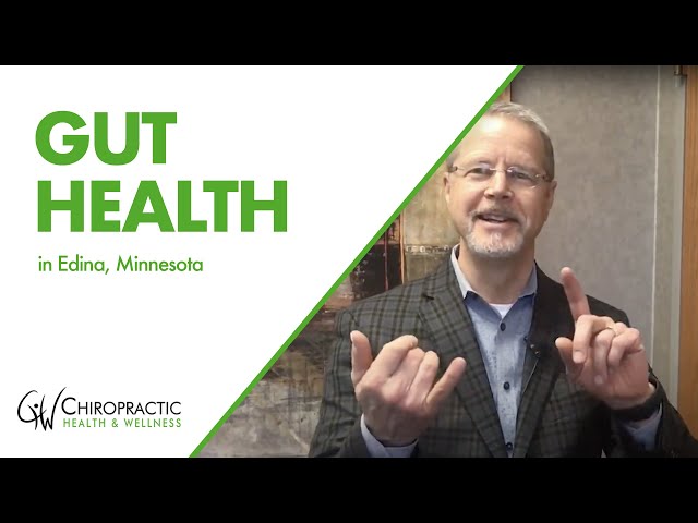 Gut Health  | Chiropractic Health and Wellness [2021]