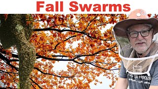 Beekeeping Winter Preparation Series: Fall Swarm Prevention