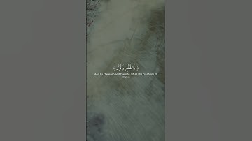 تلاوة خاشعة | سورة الفجر 1-5 | تريح القلب 💖
