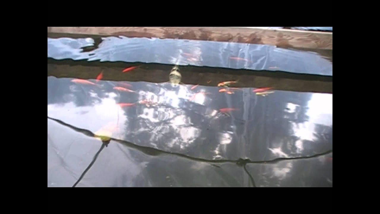 Koi Pond 2011 Winter Cover YouTube koi-pond-2011-winter-cover-youtube