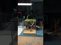 Stream and Riverbank Aquascaping