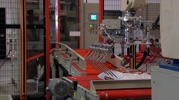 Rethceif Robotic Palletizing Systems