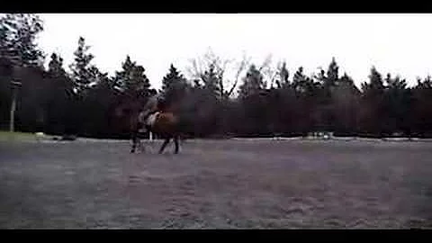Bridget Hay riding Fitz