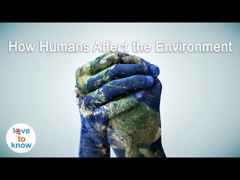 Video: Impact is How do humans and the environment affect each other?