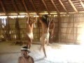 Danza Taíno en Chorro de Maíta en Holguín