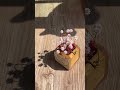 Cute shadows #claycraft #claysucculents #cat