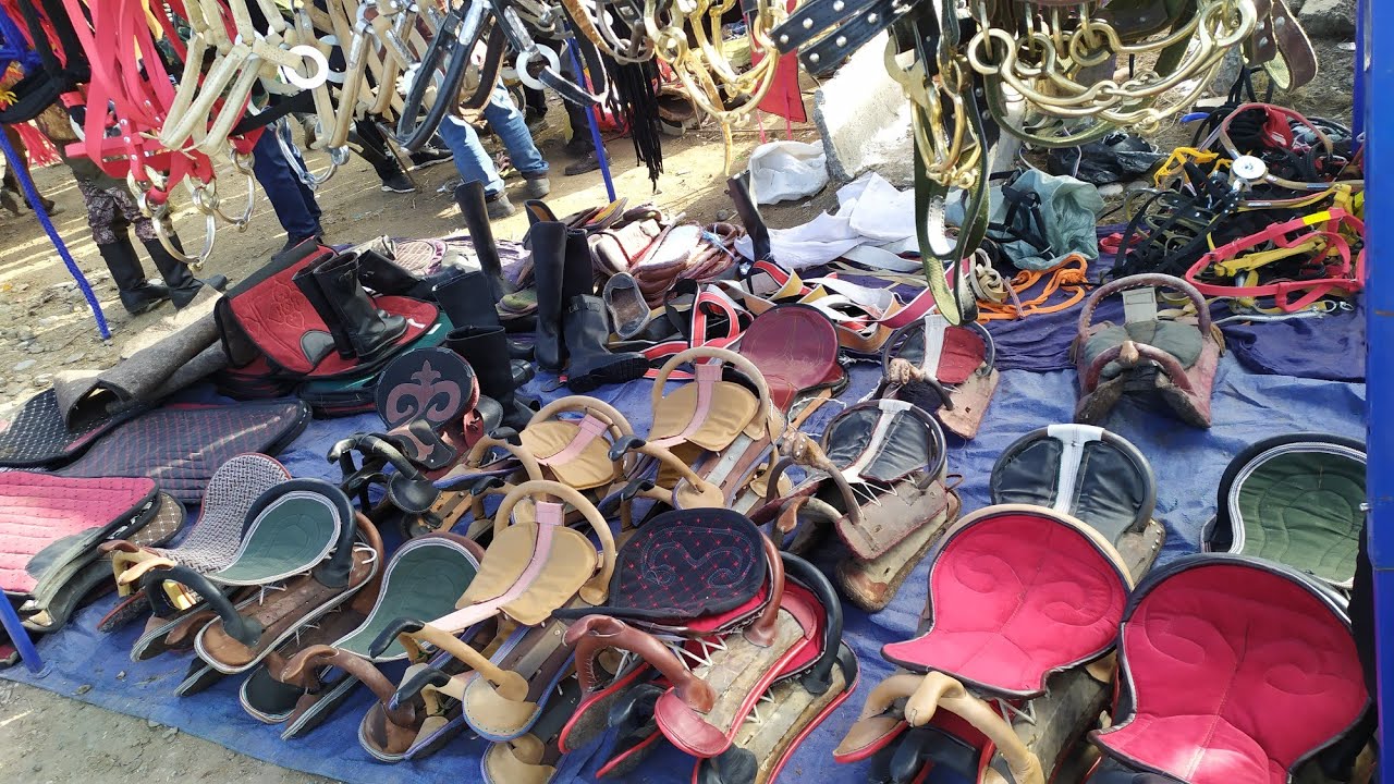 АТ ЖАБДЫКТАРЫ кандай баада? Билип коюңуз! 🐴 Тез Кабар 👉 1997-серия