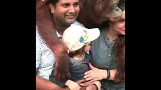 شرمها عيني عينك قرد يتحرش بفتاة- #منوعات_انستقرام #اضحك_من_قلبك