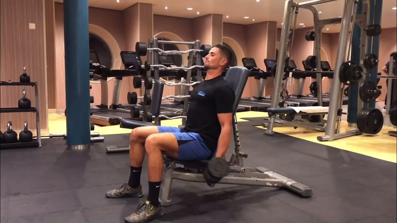 Back Supported DB Bicep Curl YouTube