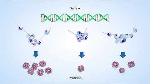 What is Hi-CO? - A technology for 3D genome structure analysis at the highest resolution