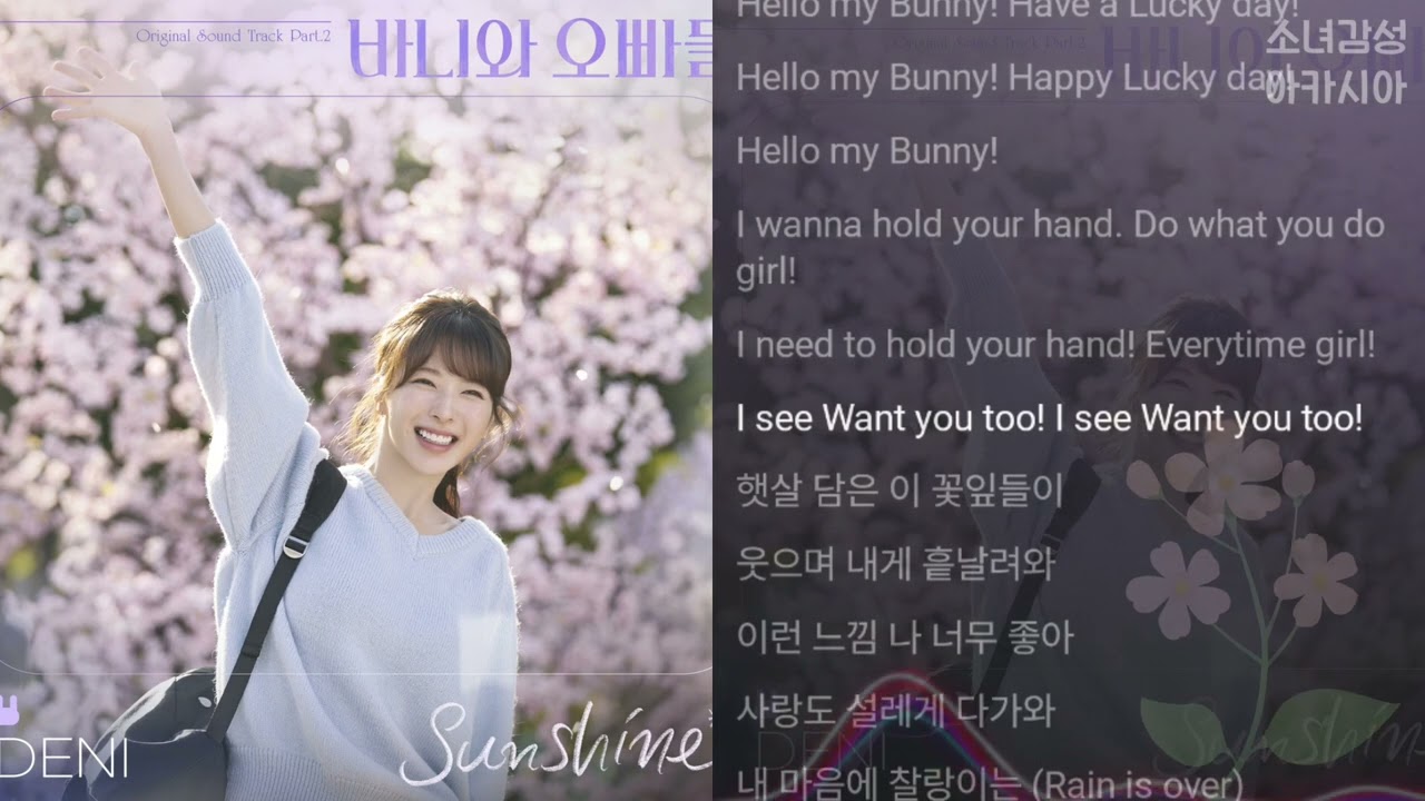 DENI -   Sunshine              (바니와 오빠들 OST Part.2)