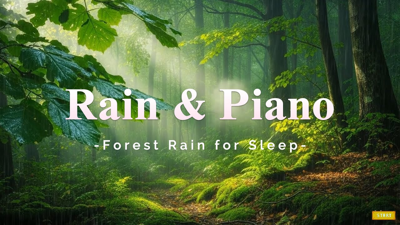 99% of Healing Begins When You Listen to the Forest Rain Relaxing Piano Music