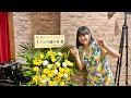 飯島真理cover「鏡よ、鏡!」