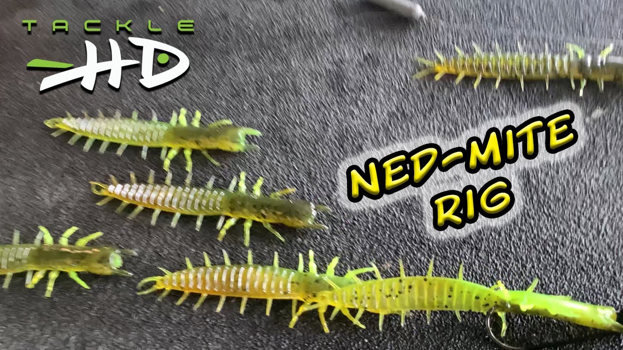 How to rig a Tackle HD Ned-Mite 