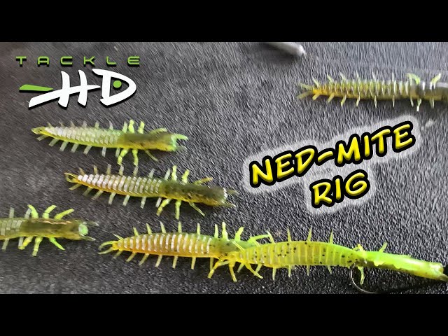 How to rig a Tackle HD Ned-Mite 