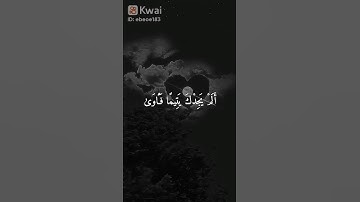 قران كريم بصوت الشيخ ماهر المعيقلي سوره الضحى #اكسبلور