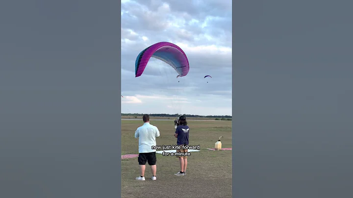 The Art of Landing with an Expert's Guidance!