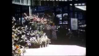 Capital Nursery - Freeport Blvd - 1950