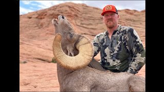 Bighorn Sheep Hunt