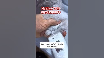 Tông đơ cao cấp tỉa lông toàn thân chó mèo PC 902 #ticipet #pets #tongdo #petshop #dog #meo #cat