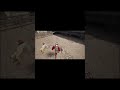Flail vs zombies in Halfsword #halfsword #halfswordgameplay #viral #gaming