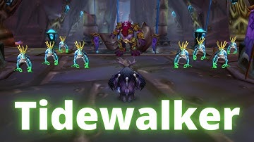 TBC Boomkin SSC Tidewalker Tips