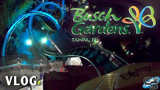 I Flew to Orlando for 1 Hour at Busch Gardens Tampa