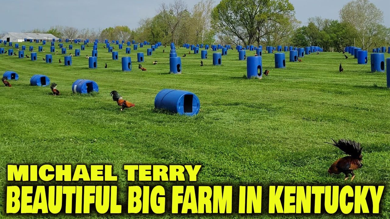 Прекрасный вид на большую ферму в Кентукки — ферма Терри Уайтхэкла