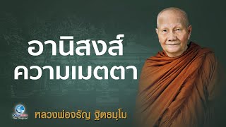 อานิสงส์ความเมตตา โดย หลวงพ่อจรัญ ฐิตธมฺโม วัดอัมพวัน (ไม่มีโฆษณาคั่น)