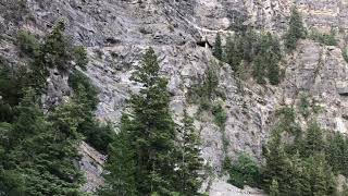 Hikers going up final leg to the Timp Cave entrance - video taken from exit trail 7/25 7:39 am