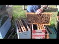 Mvi 1957  swarm control by adding a deep box and moving some frames around