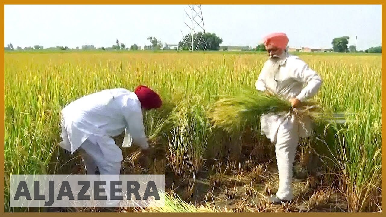🇮🇳 مزارعو الهند محبطون من عدم كفاية الدعم الحكومي | الجزيرة الإنجليزية