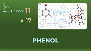 Phenol (Hóa học 11)
