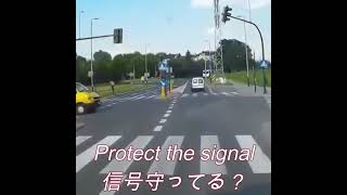 Protect The Signal信号守ってる? #shorts #dash Cam #ドラレコ #ドライブレコーダー Protect The Signal信号守ってる? #shorts #dash Cam #ドラレコ #ドライブレコーダー