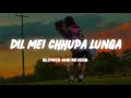 DIL MEI CHHUPA LUNGA Slowed And Reverb Lofi