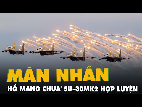 Video Khoảnh khắc ấn tượng 'hổ mang chúa', trực thăng Mi hợp... - youtube