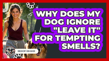 Why Does My Dog Ignore "leave It" For Tempting Smells? - Obedient Dog Guide