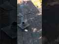 roof repair