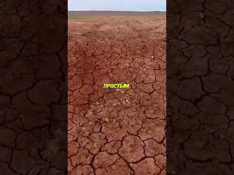 Что скрывается за этим забором? #тайнымира #мистика #интересныефакты