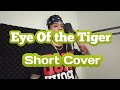 Eye of the tiger  survivor  short version