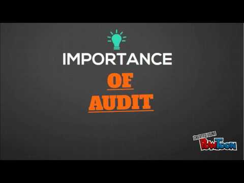 Importance of Audit