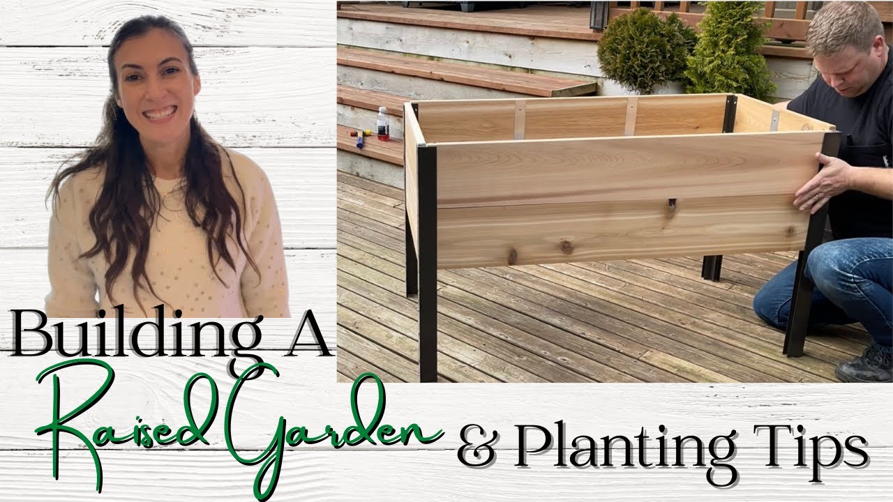 Building A Raised Garden | Planting Early Spring Vegetables | Gardening Tips